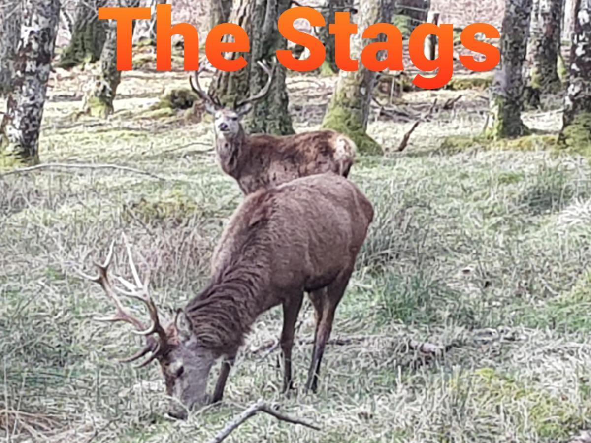 & Self Catering Cabins, 90 Mins From Skye Bridge, Nc500 Bed & Breakfast Applecross